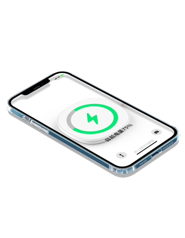 MAGNETIC HARD CLEAR COVER CASE