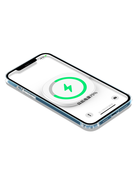 MAGNETIC HARD CLEAR COVER CASE