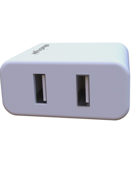 2.1A DOUBLE USB TRAVEL WALL CHARGER WITH TYPE C CABLE